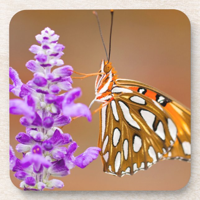 Bright Orange Gulf Fritillary Butterfly Coaster (Front)