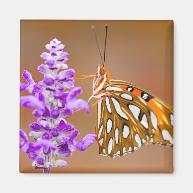 Bright Orange Gulf Fritillary Butterfly Magnet (Front)