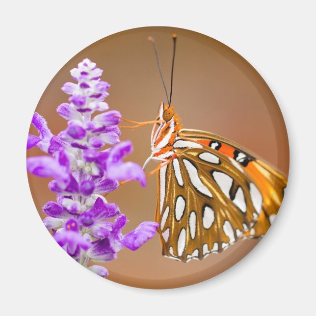 Bright Orange Gulf Fritillary Butterfly Magnet (Front)