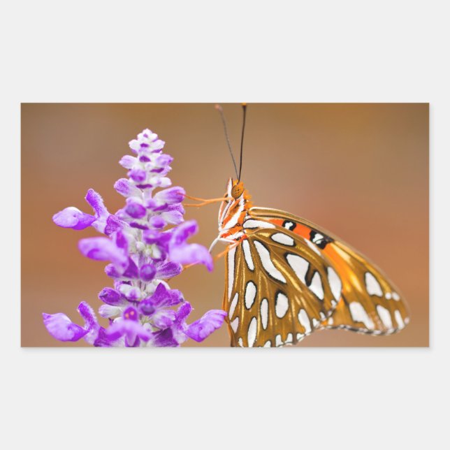 Bright Orange Gulf Fritillary Butterfly Rectangular Sticker (Front)