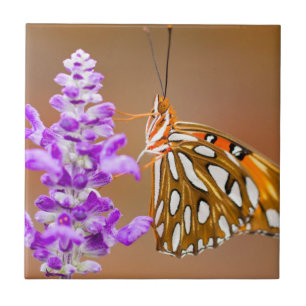 Bright Orange Gulf Fritillary Butterfly Tile