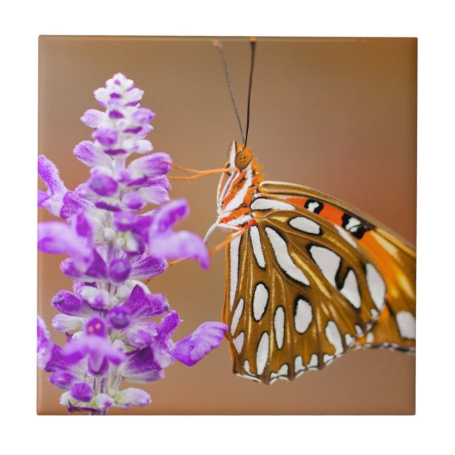 Bright Orange Gulf Fritillary Butterfly Tile (Front)