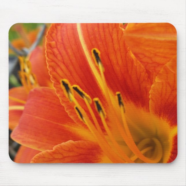 bright orange mouse pad (Front)