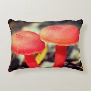 Bright Orange Mushroom Pair Close Up  Decorative Cushion