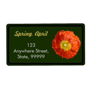 Bright Orange Poppy Flower