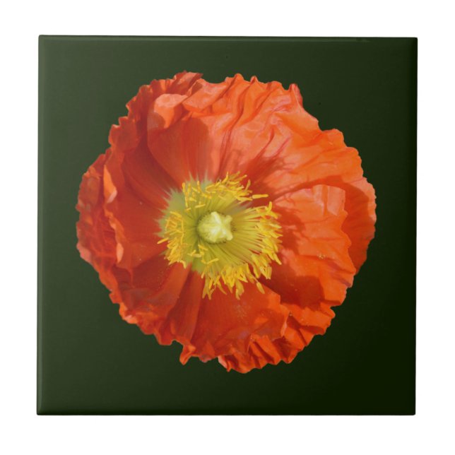Bright Orange Poppy Flower Ceramic Tile (Front)