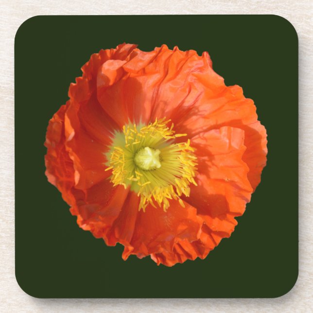 Bright Orange Poppy Flower Coaster (Front)