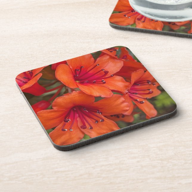 Bright Orange Rhododendron Blooms Floral Coaster (Left Side)