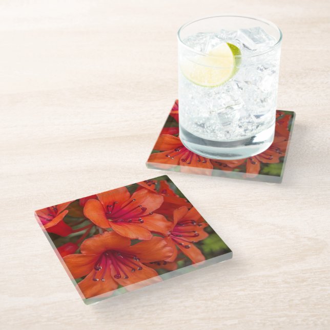 Bright Orange Rhododendron Blooms Floral Glass Coaster (Angled)