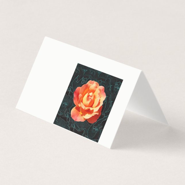 Bright orange rose (Front)