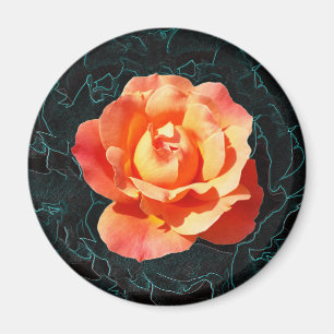 Bright orange rose magnet