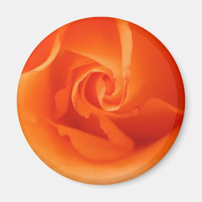 Bright Orange Rose Magnet (Front)