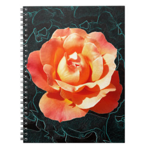 Bright orange rose notebook