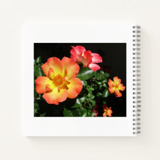 Bright Orange Roses - Dark Aspect Spiral Notebook