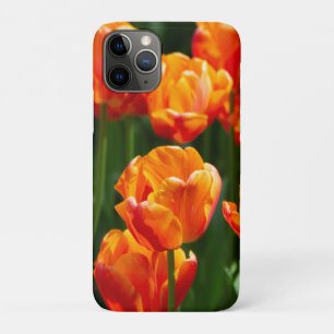 Bright orange tulips in the park   iPhone 11 pro case