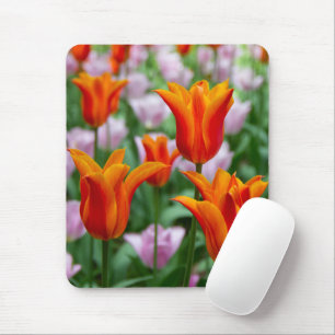Bright orange tulips in the park       mouse pad