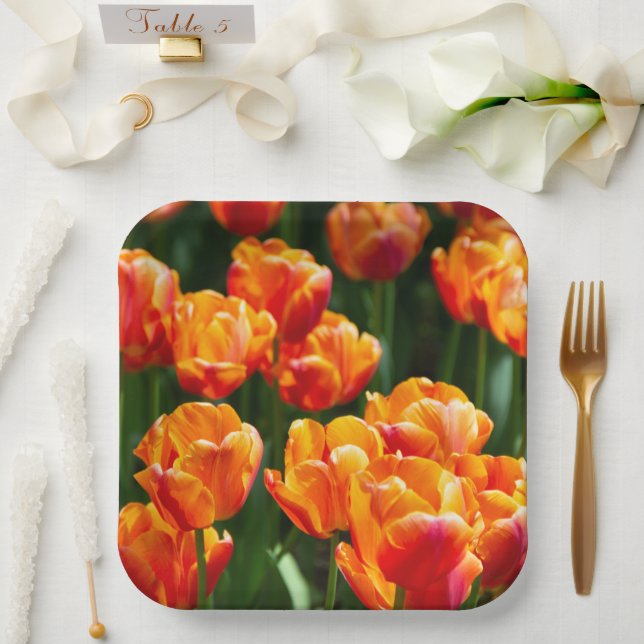 Bright orange tulips in the park   paper plate (Wedding)