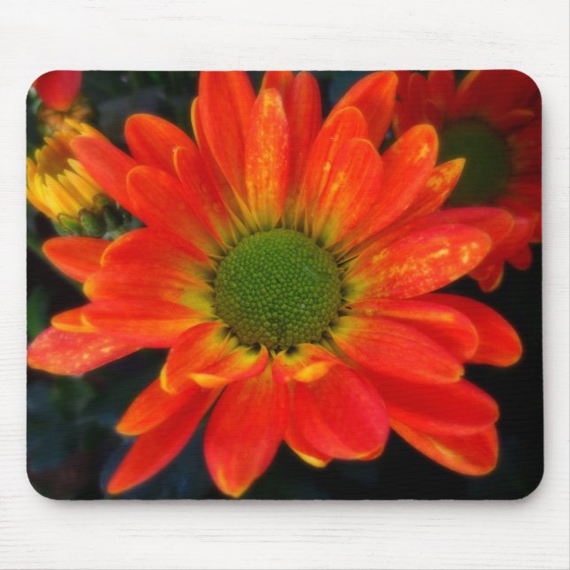 Bright Orange with Raindrops Mouse Pad (Front)