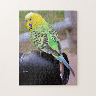 Bright Parakeet Bird on Camera Lens Jigsaw Puzzle