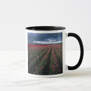 Bright pink and red tulips glow under dark mug