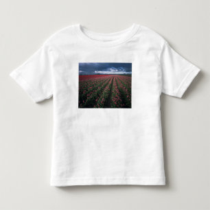Bright pink and red tulips glow under dark toddler T-Shirt