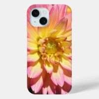 Bright Pink and yellow Dahlia Flower
