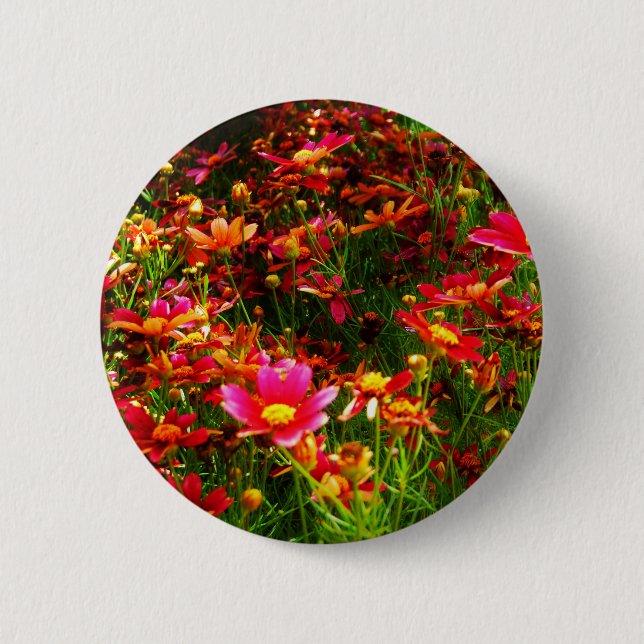 Bright pink and yellow Daisy Wild flowers 6 Cm Round Badge (Front)