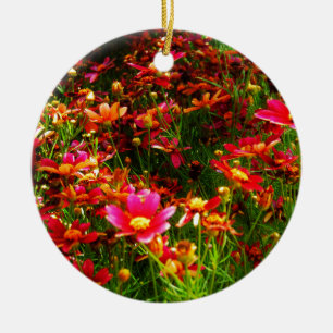 Bright pink and yellow Daisy Wild flowers Ceramic Ornament