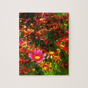 Bright pink and yellow Daisy Wild flowers Jigsaw Puzzle