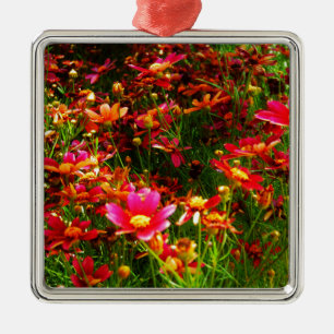 Bright pink and yellow Daisy Wild flowers Metal Ornament