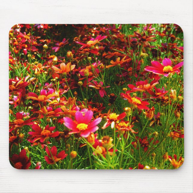 Bright pink and yellow Daisy Wild flowers Mouse Pad (Front)