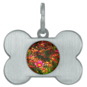 Bright pink and yellow Daisy Wild flowers Pet Name Tag