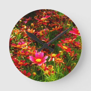 Bright pink and yellow Daisy Wild flowers Round Clock