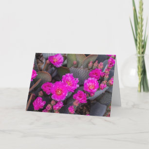 Bright Pink Cactus Flower   Thinking of You Custom Card