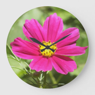 Bright Pink Cosmos Wall Clock