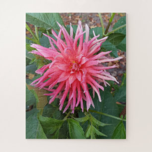 Bright pink Dahlia flower. Jigsaw Puzzle