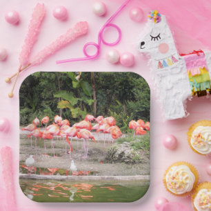 Bright Pink Flamingo Flock Tropical Illustration Paper Plate
