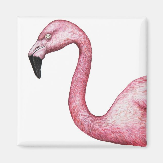 Bright Pink Flamingo Illustration Magnet (Front)