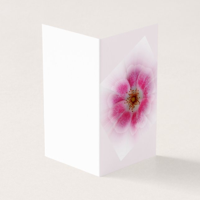 bright pink flower (Outside)