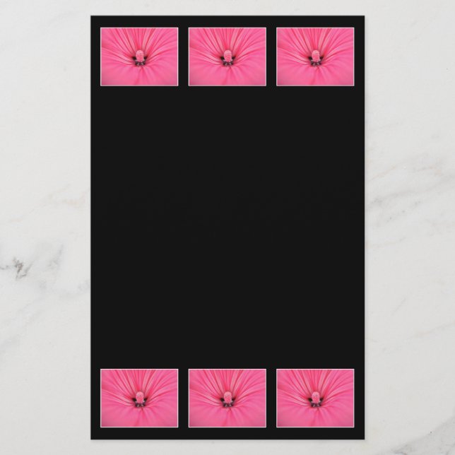 Bright Pink Flower. (Front)