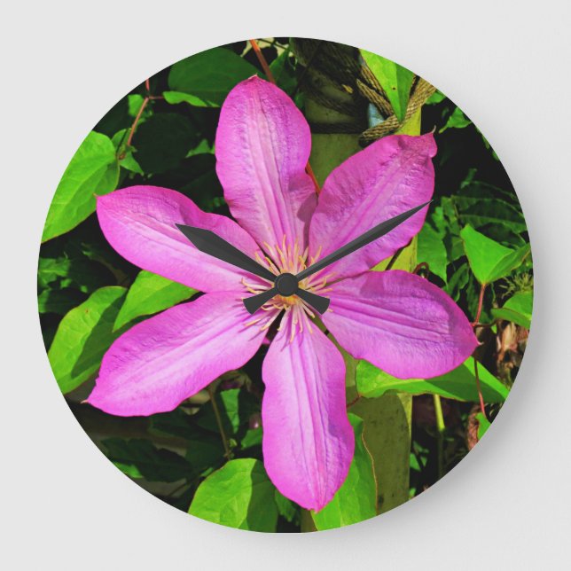 Bright Pink Flower Blooming & Green Background Large Clock (Front)