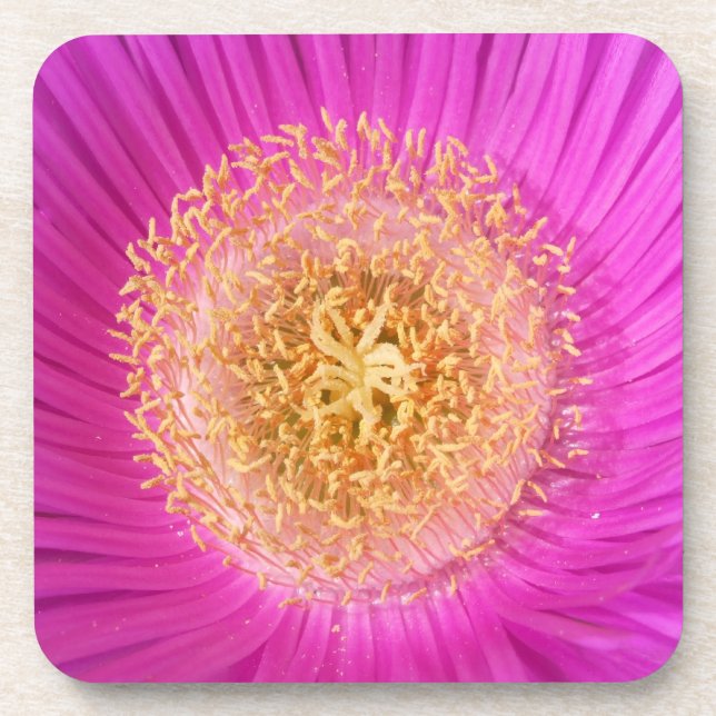 Bright Pink Flower Coasters (Front)