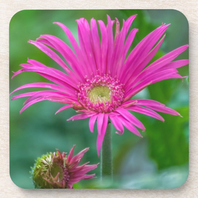 Bright pink flower coasters (Front)