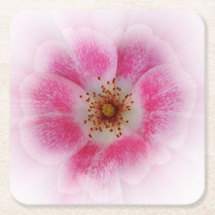 bright pink flower square paper coaster