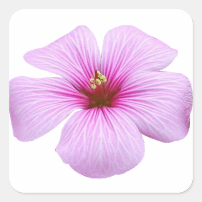 Bright Pink Flower Square Sticker (Front)
