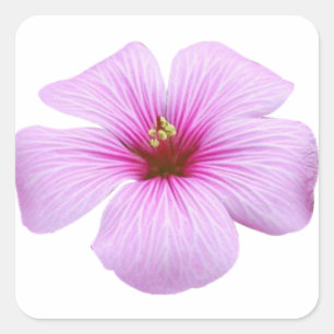 Bright Pink Flower Square Sticker
