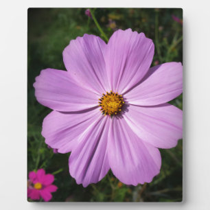 bright pink flowers plaque
