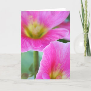 Bright Pink Hollyhocks Card