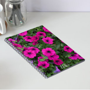 Bright Pink Petunias Floral Notebook