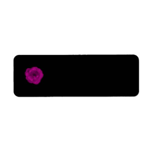 Bright Pink Rose. Black Background. Return Address Label